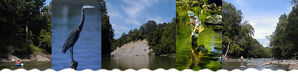 Wildcat Creek Natural Scenic River in Indiana