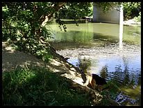 river access at Burlington bridge