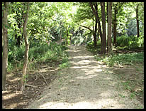 path to river at Burlington