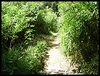 dirt path to river at Fairfield Public Access Site