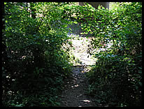 path to the river at Reservoir Spillway