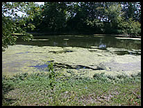 river access at UCT Park