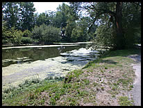 path to the river at UCT Park