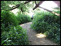 path to the river at Wildcat Park Access Site