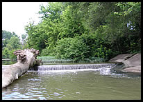 portage on river left at Waterworks Dam